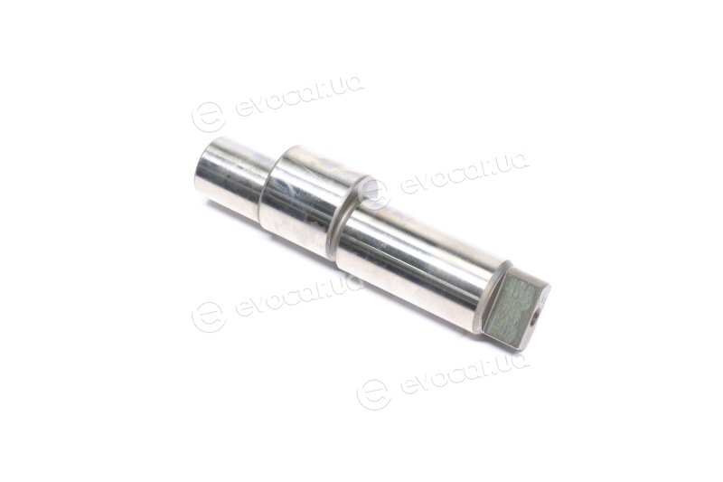 Bosch F 01M 100 285