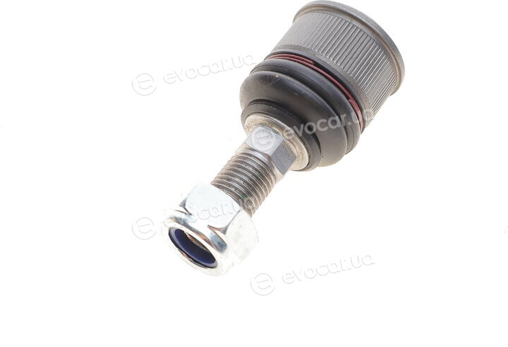 Magneti Marelli 301191618920