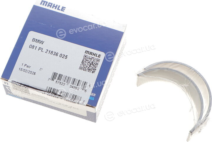 Mahle 081 PL 21836 025
