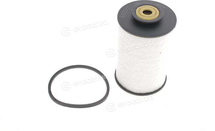 Solgy 102004