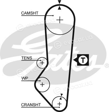 Gates K015357XS