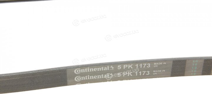 Continental 5PK1173