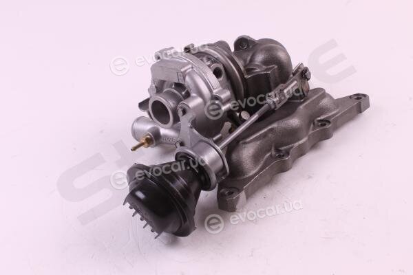 Starline TD S1118T