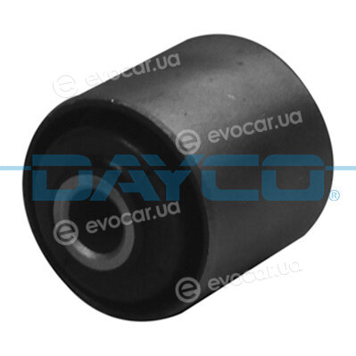 Dayco DSS2069