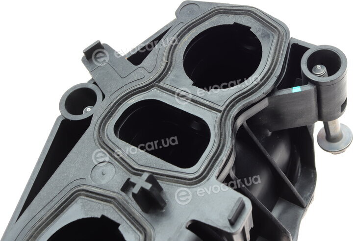 Solgy 114270