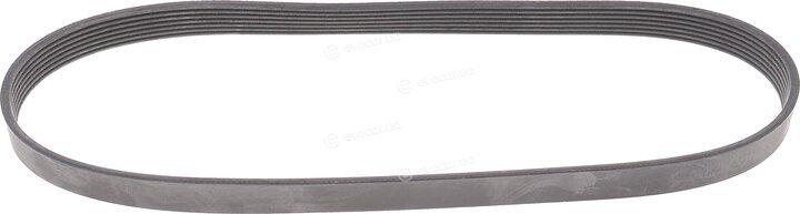 Continental 7PK1038ELAST
