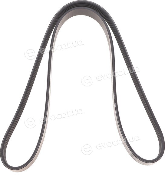 Dayco 5PK1155