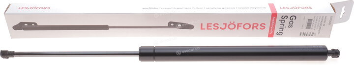 Lesjofors 8115657
