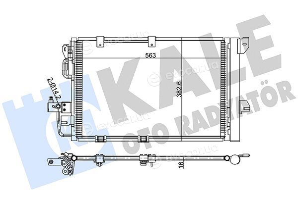 Kale 381900