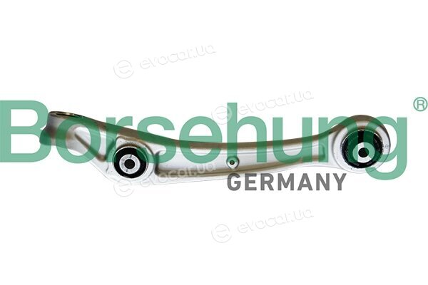 Borsehung B10842