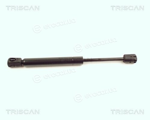 Triscan 8710 16104