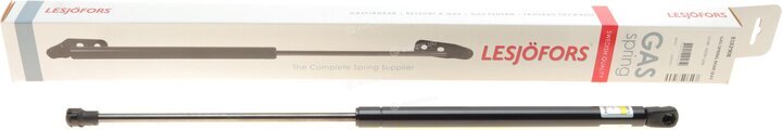 Lesjofors 8182908