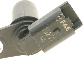 FAE 79251