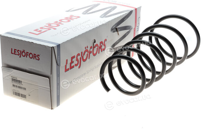 Lesjofors 4026143