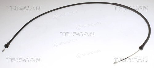Triscan 8140 251252