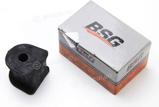 BSG BSG 60-700-007