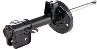 Ridex 854S0899