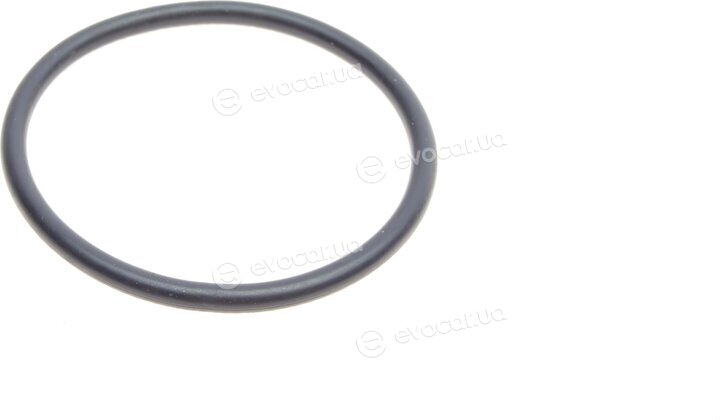 Elring 036.980