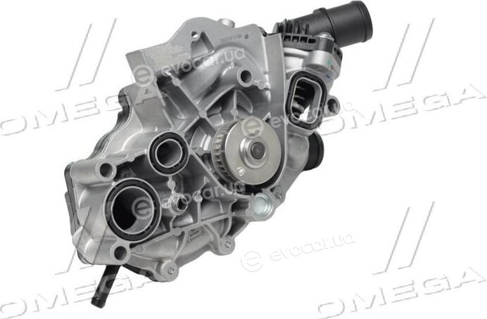 Continental WP6146