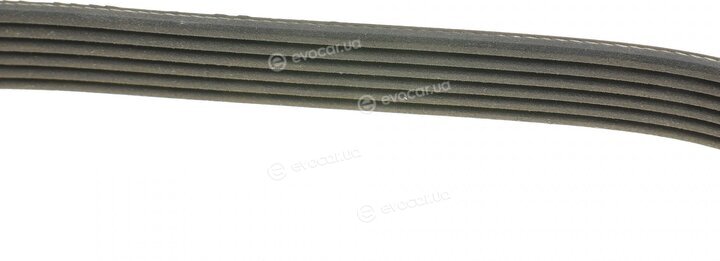 Dayco 6PK1352