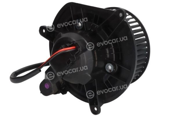 Thermotec DDY007TT