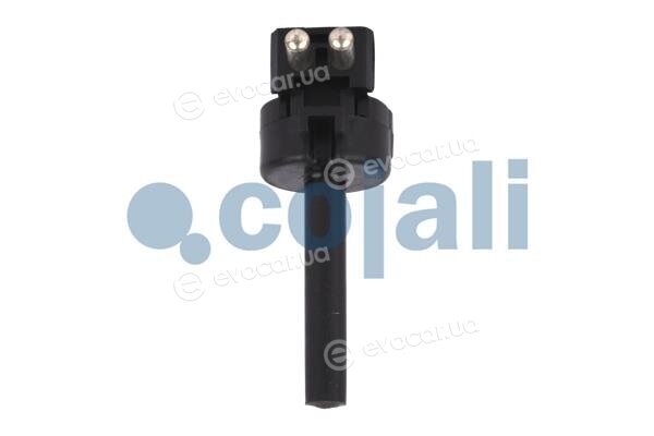 Cojali 2260407