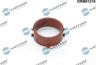 Dr. Motor DRM01218