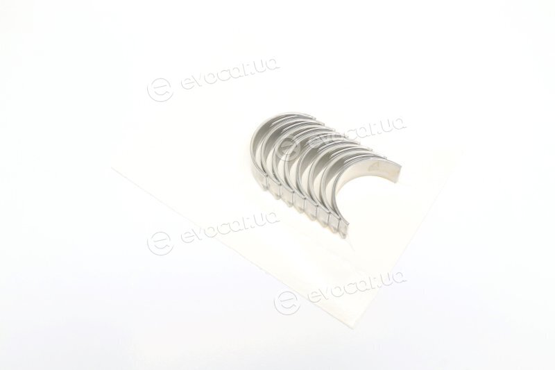 Glyco 71-4002/4 STD