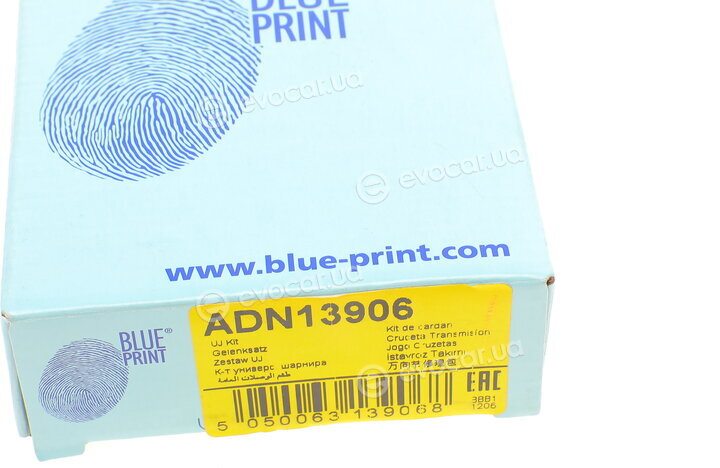Blue Print ADN13906