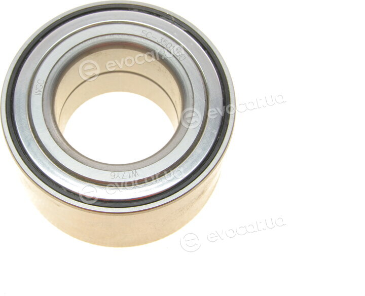 Borsehung B15622
