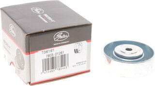 Gates T36161