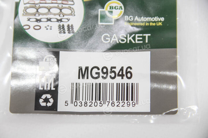 BGA MG9546