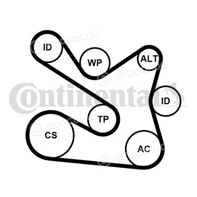 Continental 7PK1605K1