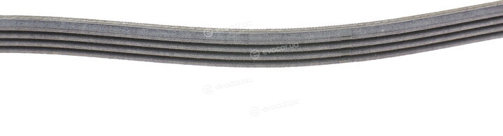 Continental 4PK1022 ELAST