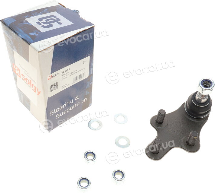 Solgy 203135