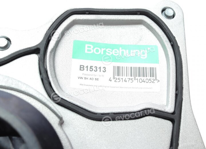 Borsehung B15313