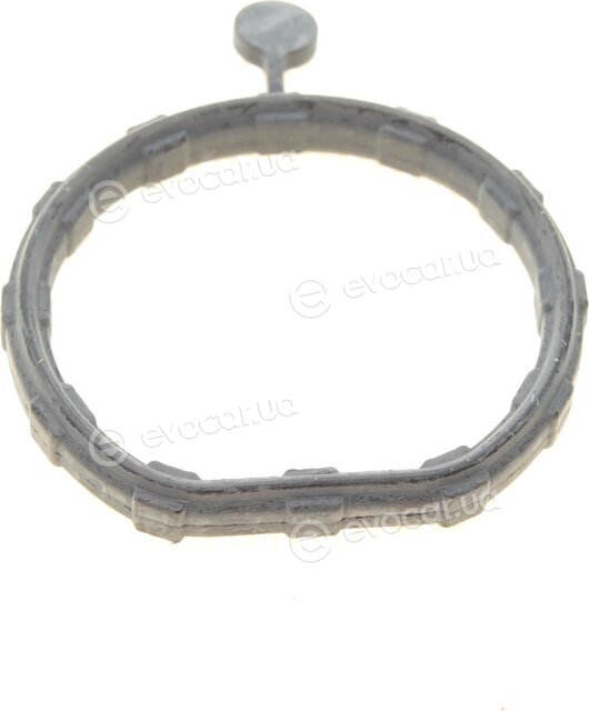 Elring 587.410