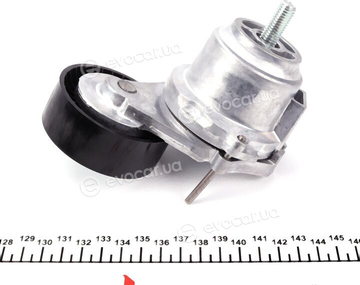 Hutchinson T0571