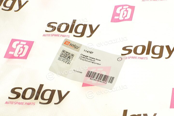 Solgy 114157