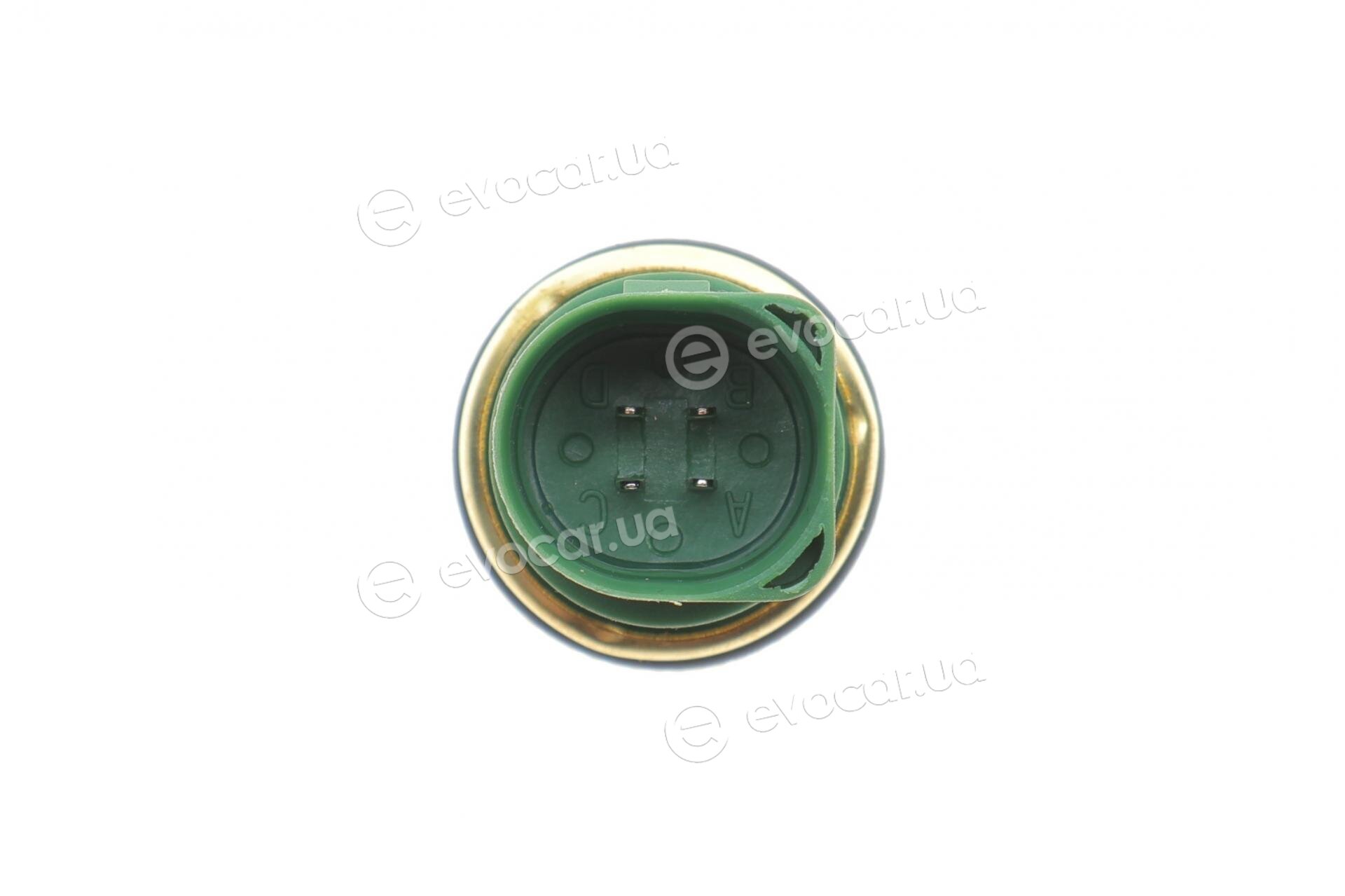 Delphi TS10236