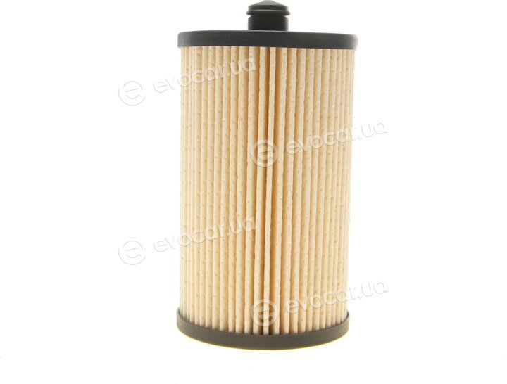 Borsehung B10522