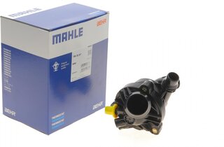 Mahle TM 30 97