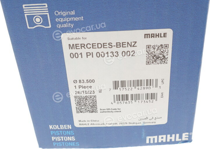 Mahle 001 PI 00133 002