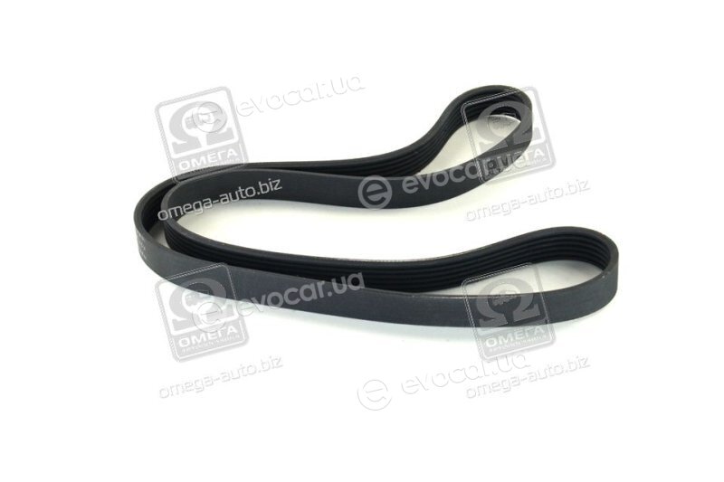 SKF VKMV 6PK1217