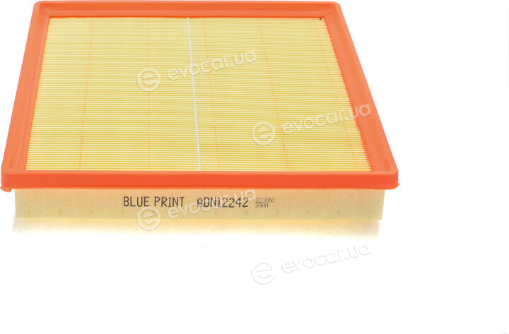Blue Print ADN12242