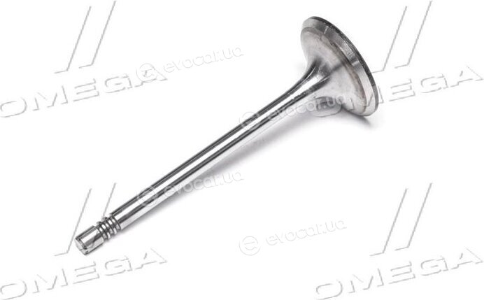 Gunes 4568