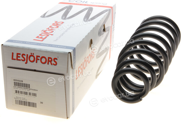 Lesjofors 4059228