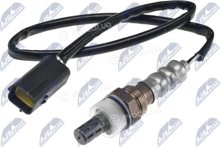 NTY ESL-NS-021