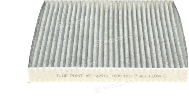 Blue Print ADL142516