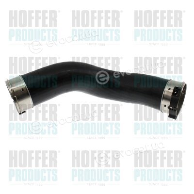 Hoffer 96919